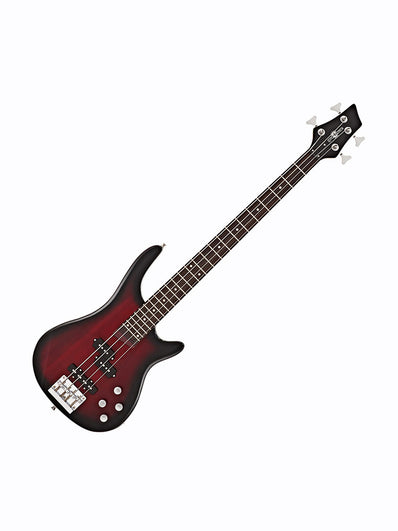 Chicago Bass Guitar