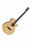 Tanglewood TPE SF DLX Electro Acoustic Guitar