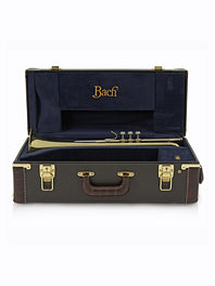 Bach Stradivarius Trumpet